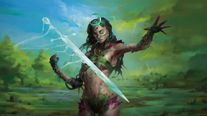 Berserk. Heroes. General 2 fond d'cran