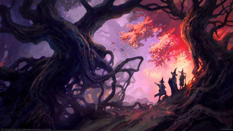 The 3 Witches II fond d'cran