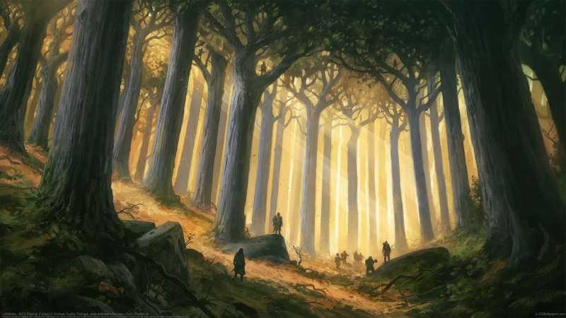Lothl�rien - MTG Playmat (Forest) fond d'�cran