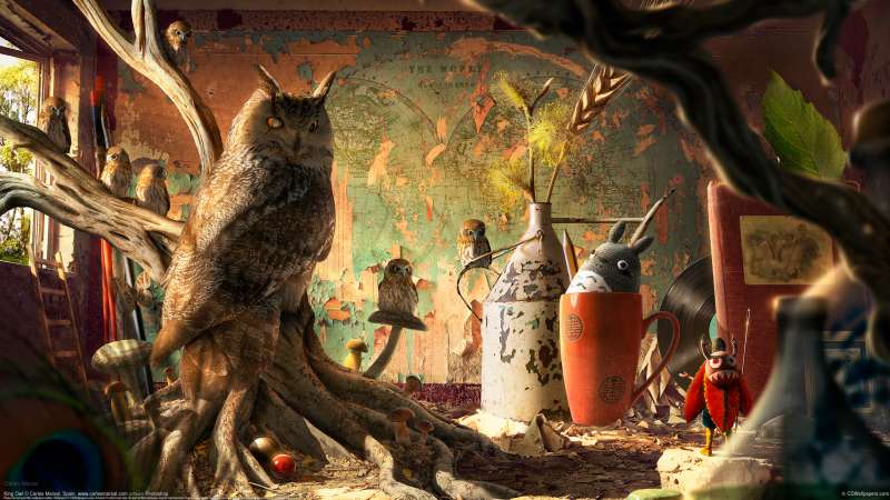 King Owl fond d'cran
