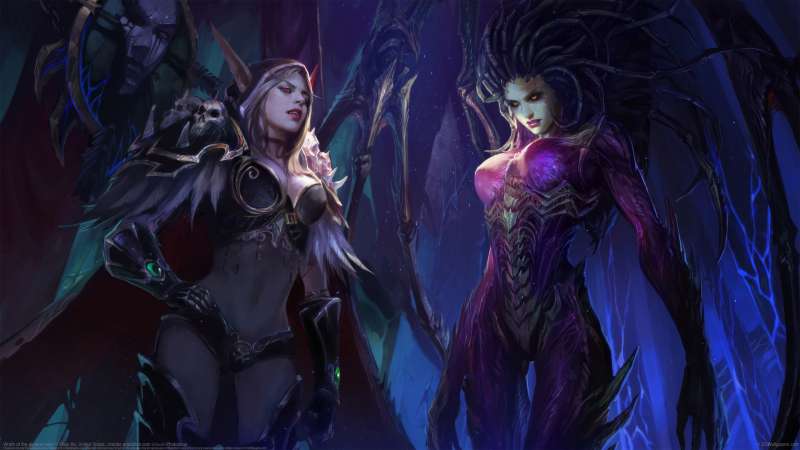 Wrath of the queens redo fond d'�cran