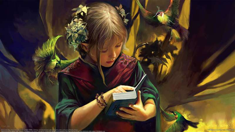 Knowledge and Wisdom fond d'cran