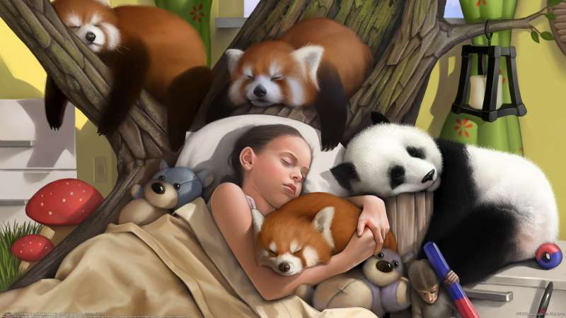 Puppies fond d'cran