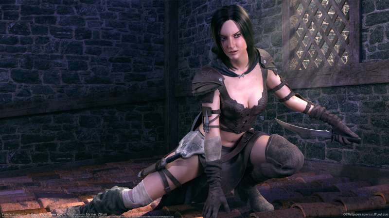 Female Rogue fond d'cran