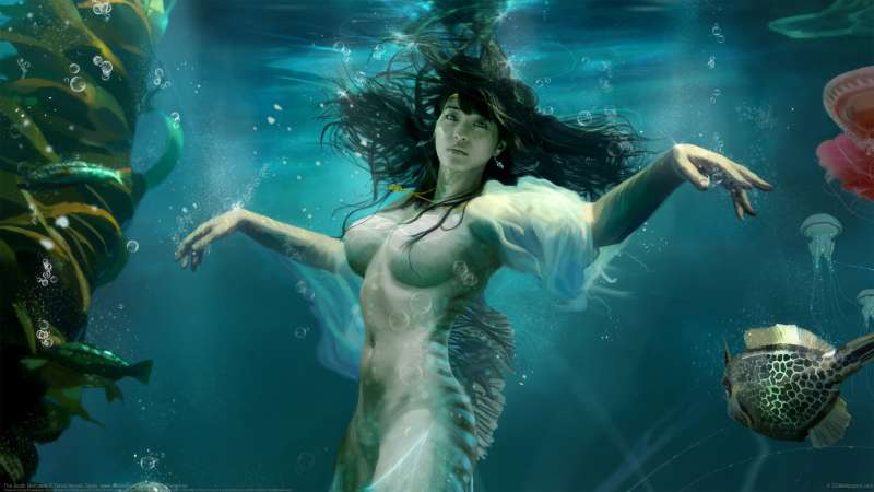 The South Mermaids fond d'cran