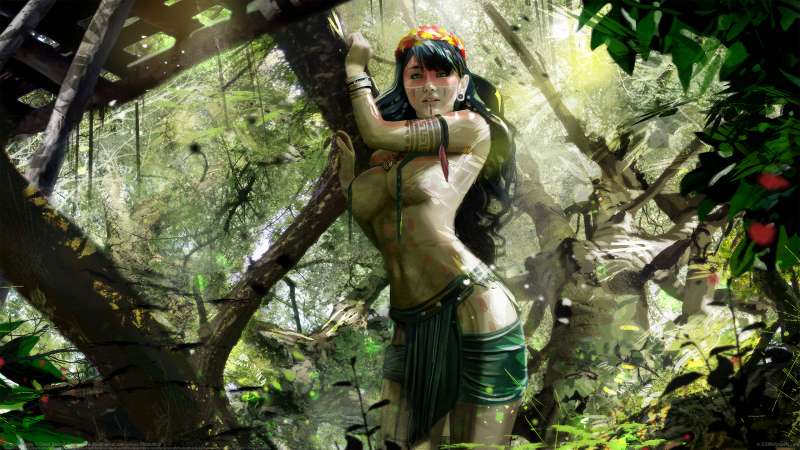 Amazon Jungle fond d'cran