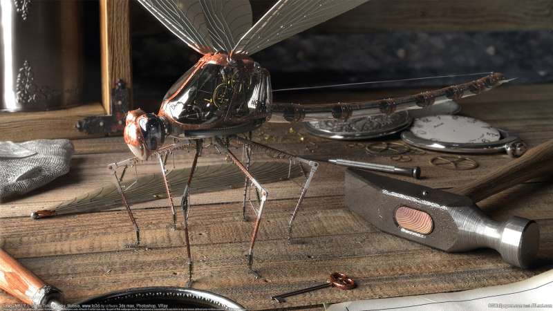 DragONtFLY fond d'cran