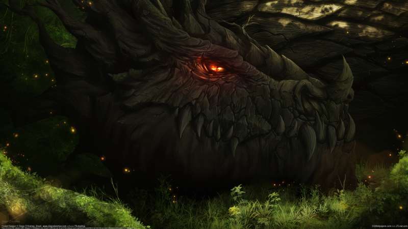 Forest Keeper fond d'cran