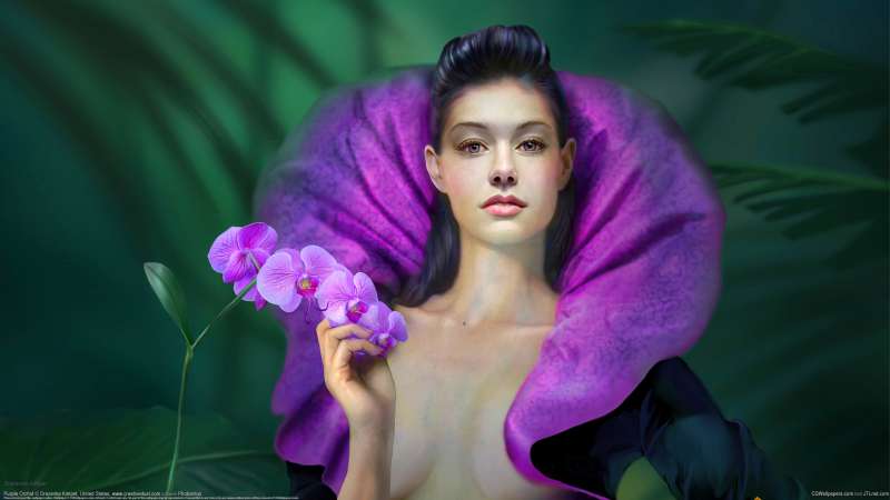 Purple Orchid fond d'cran