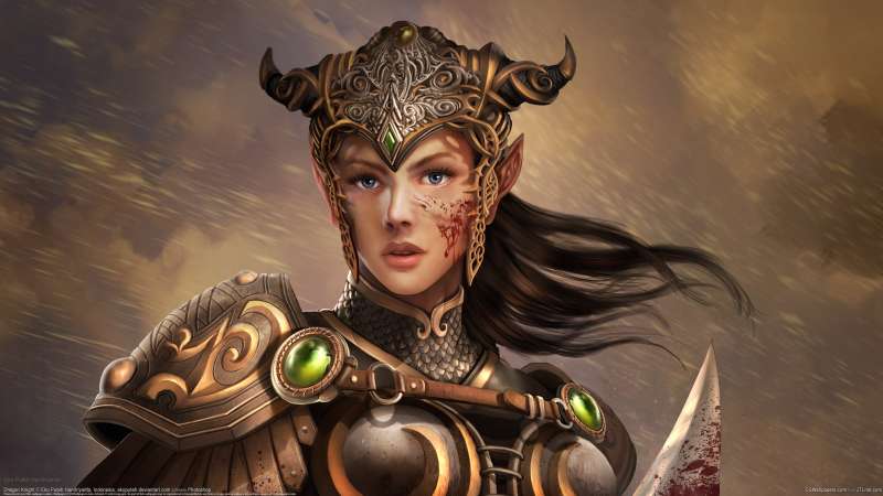 Dragon Knight fond d'cran