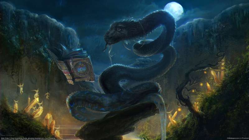 Water Snake fond d'cran