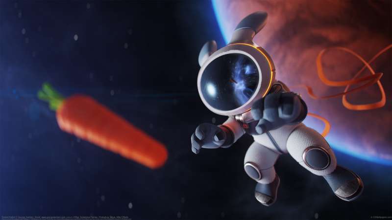 Rocket Rabbit fond d'cran