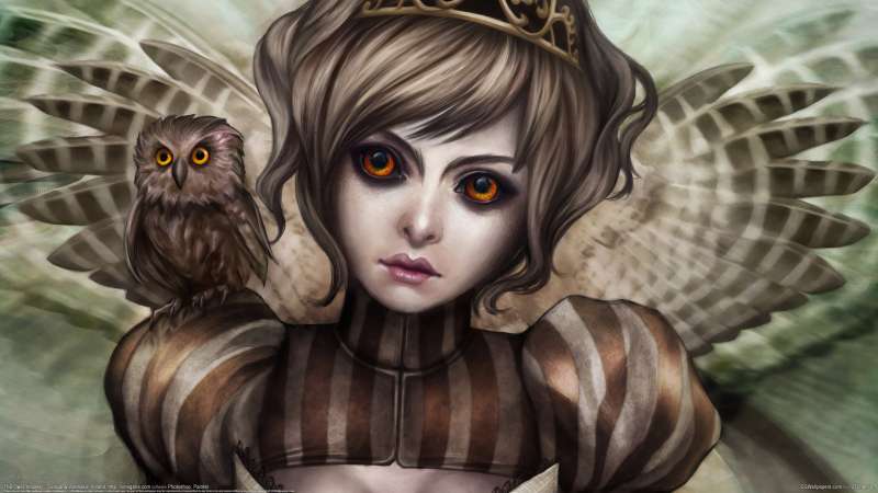 The Owl Princess fond d'cran