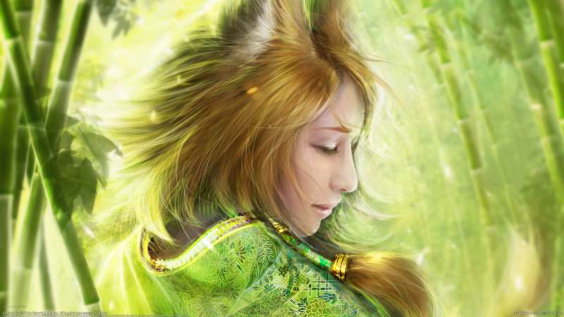 Bamboo Fox fond d'cran