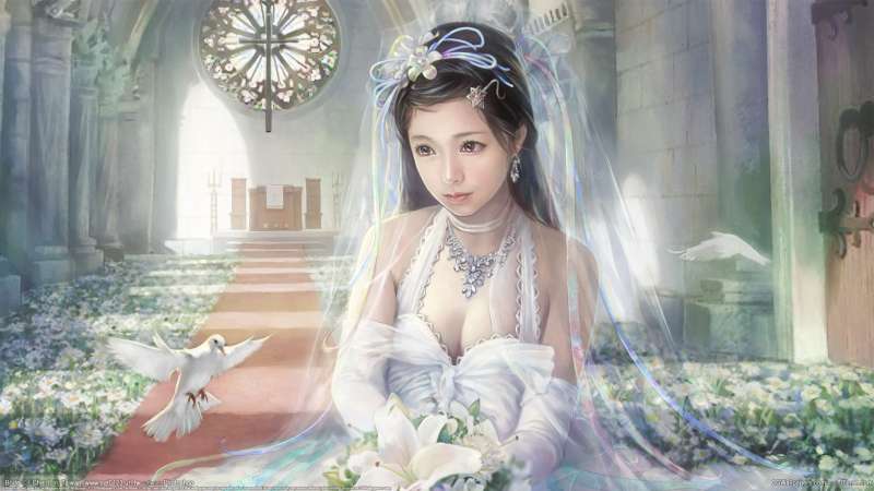 Bride fond d'cran