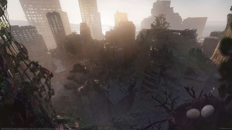 Kingdom planet of the apes concept exploration fond d'cran