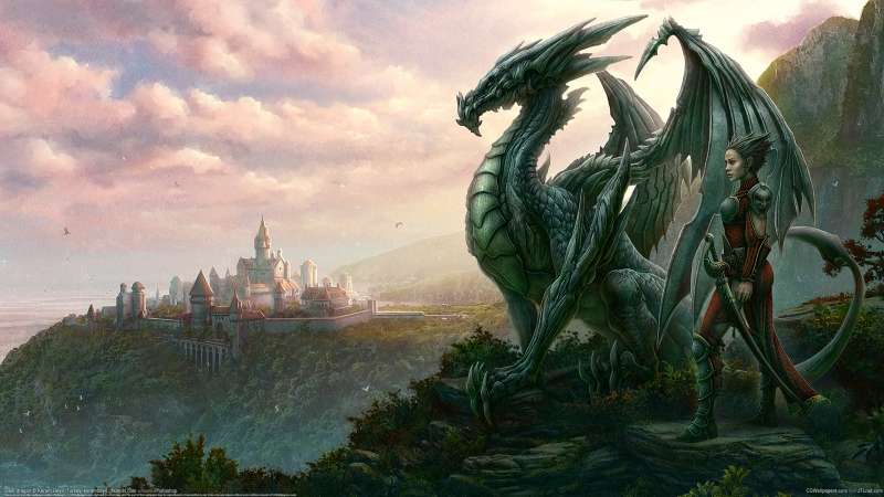 Steel Dragon fond d'cran