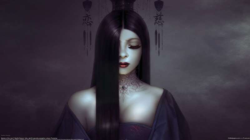 Mystery of the rose fond d'cran