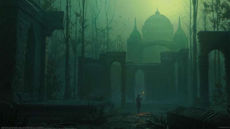 Jungle tombs fond d'�cran