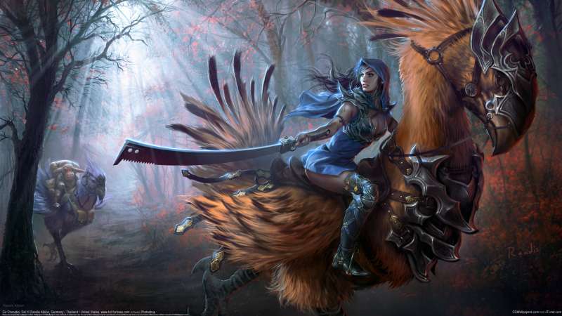 Go Chocobo, Go! fond d'cran