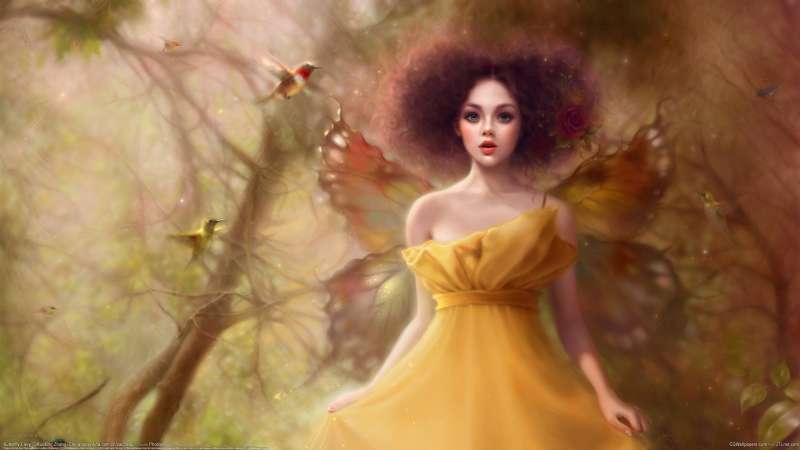 Butterfly Fairy fond d'cran