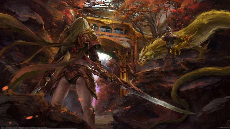 Ninjia fond d'�cran