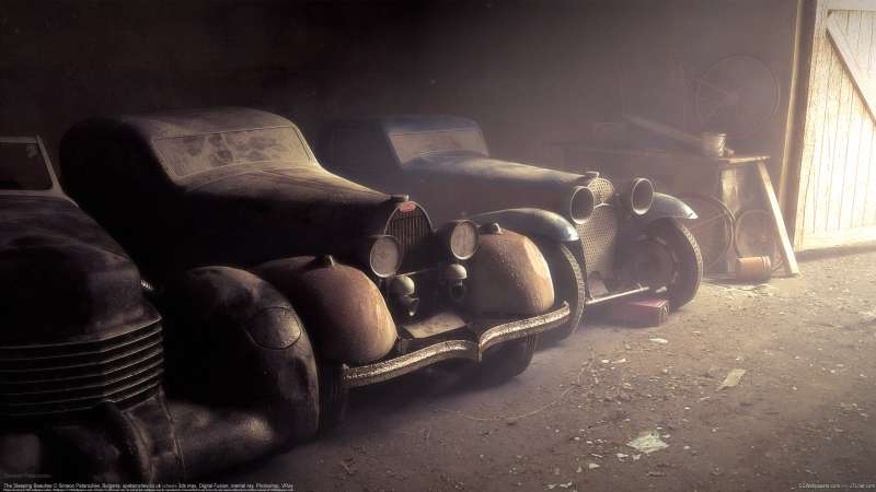 The Sleeping Beauties fond d'cran