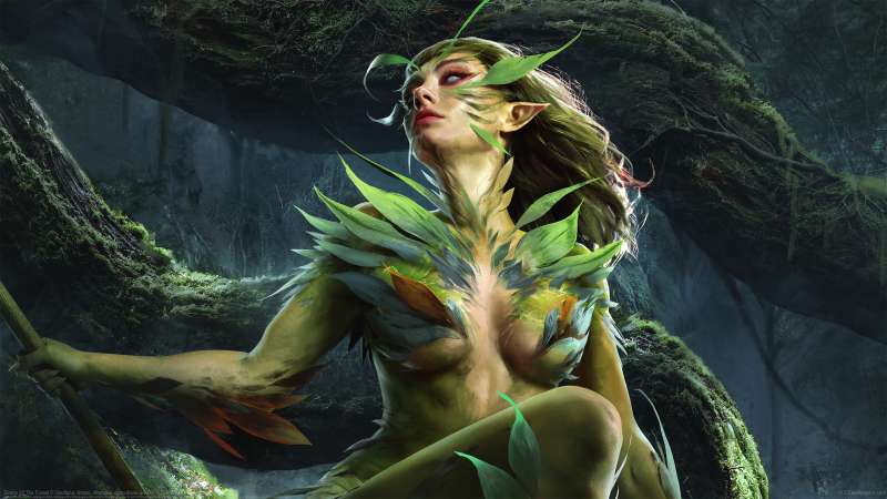Sirens Of The Forest fond d'�cran