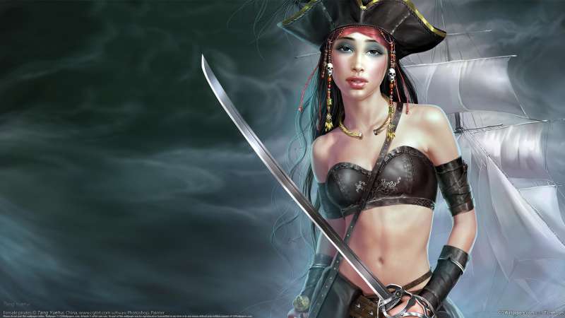 Female pirates fond d'cran