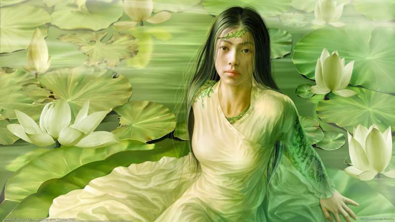 Duckweed fond d'cran