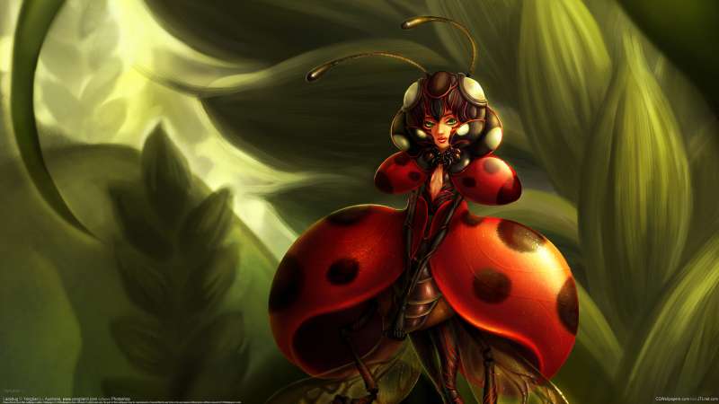 Ladybug fond d'cran
