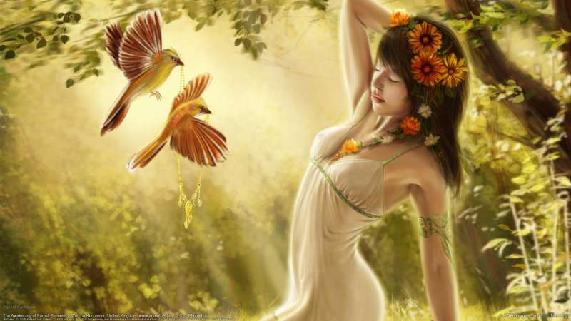 The Awakening of Forest Princess fond d'cran