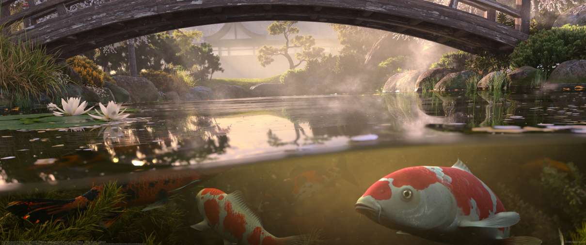 Koi fish pond ultralarge fond d'cran