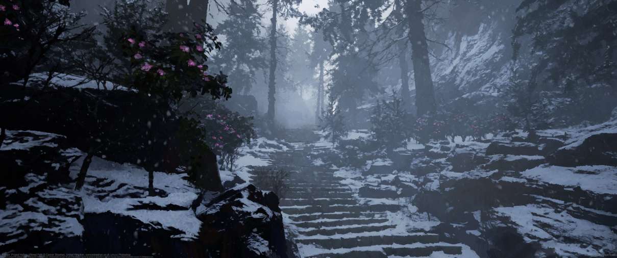 Kaidan: Project Hottan - Forest Path ultralarge fond d'cran