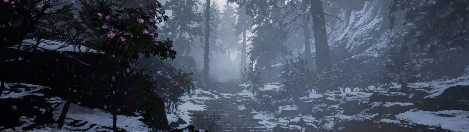 Kaidan: Project Hottan - Forest Path ultralarge fond d'cran