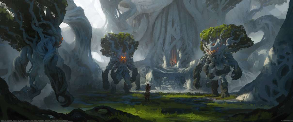 Magic the Gathering - Brothers war Argoth Concepts ultralarge fond d'cran