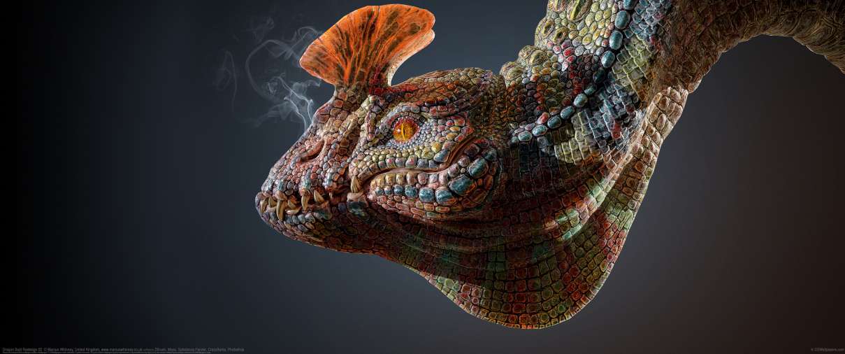 Dragon Bust Redesign 02 ultralarge fond d'cran