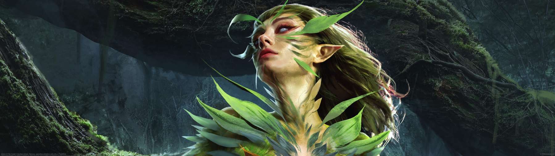 Sirens Of The Forest ultralarge fond d'�cran