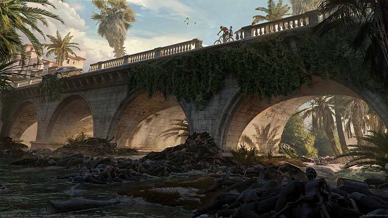 ILFY - Bridge fond d'écran
