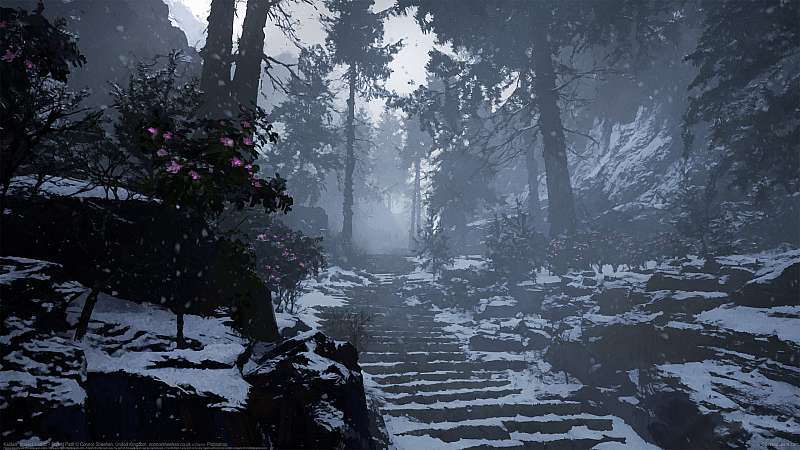 Kaidan: Project Hottan - Forest Path fond d'écran