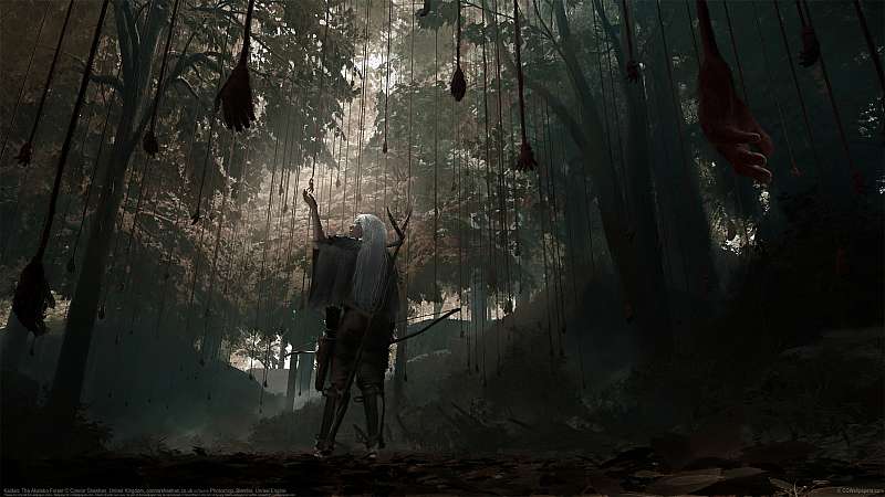 Kaidan: The Akateko Forest fond d'écran