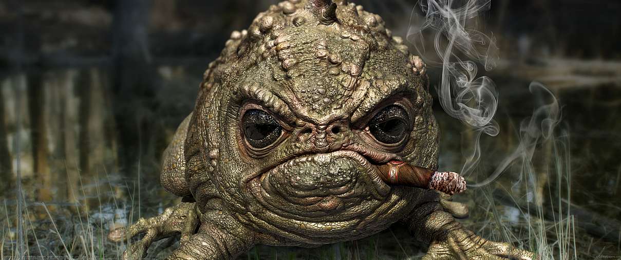 Grumpy frog ultralarge fond d'cran