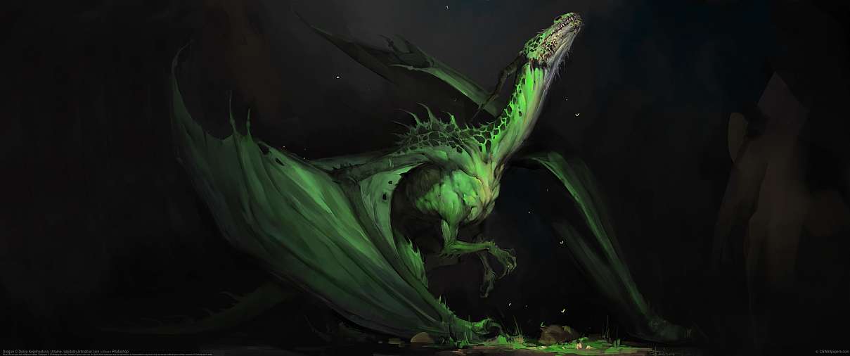 Dragon ultralarge fond d'cran