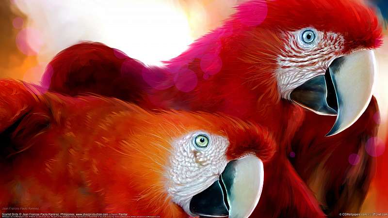 Scarlet Birds fond d'cran