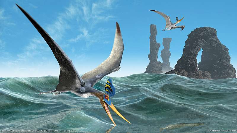 Pteranodon Sternbergi fond d'cran