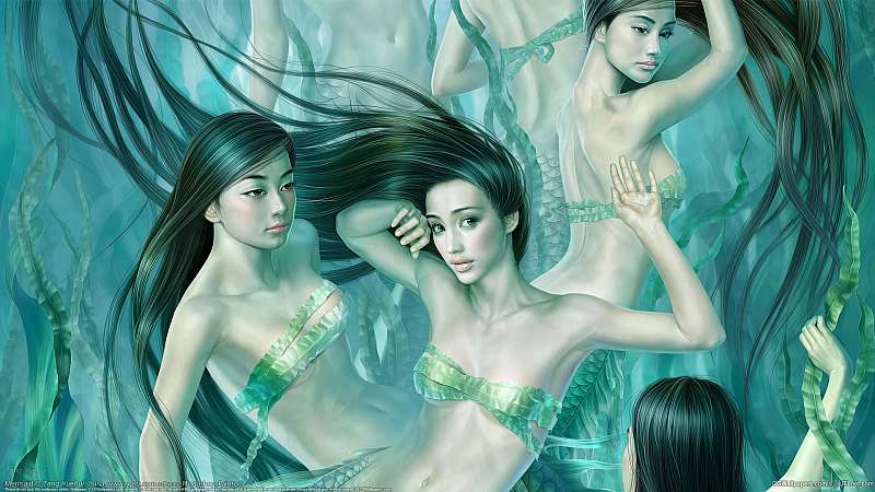 Mermaid fond d'cran